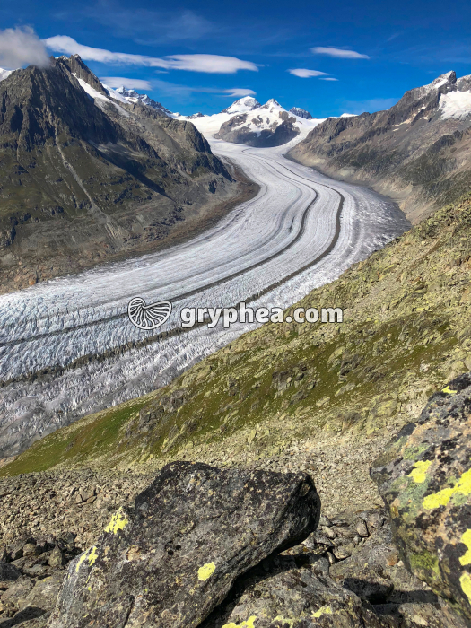 Glacier (Suisse) - gryphea.com